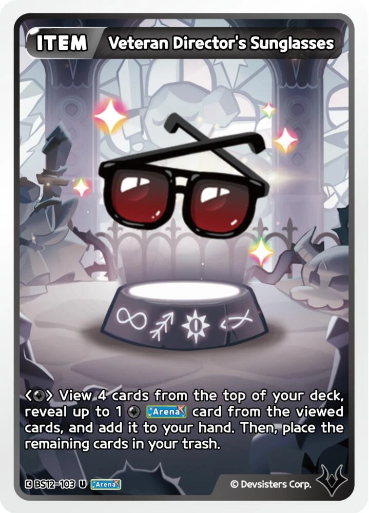 Veteran Director's Sunglasses