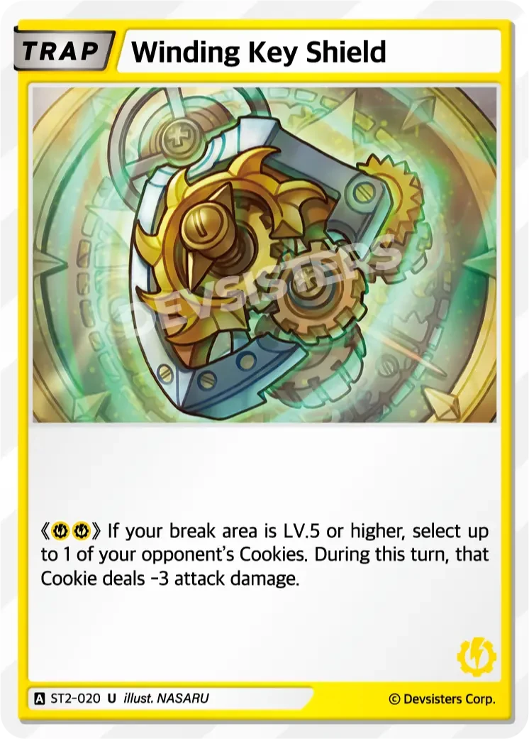 Winding Key Shield