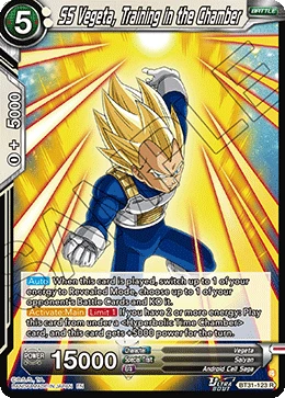 SS Vegeta, Training in the Chamber
