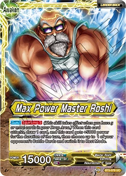 Master Roshi — other side