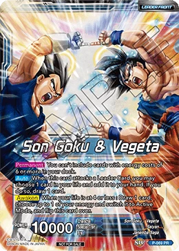 Son Goku & Vegeta