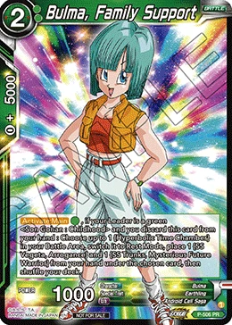 Bulma, Family Support