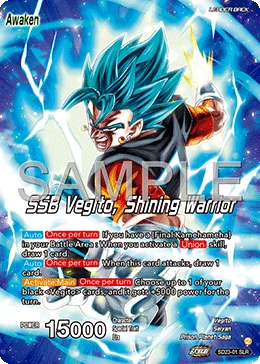 Son Goku & Vegeta — other side
