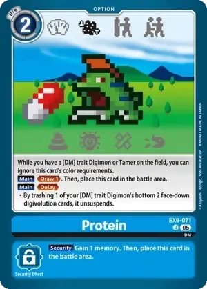 Protein