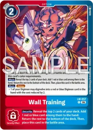 Wall Training