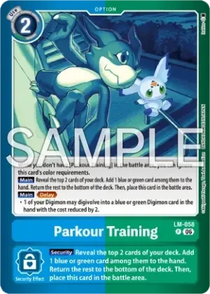 Parkour Training