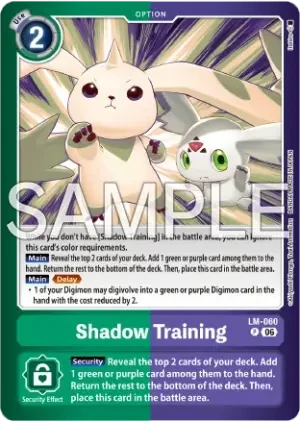 Shadow Training
