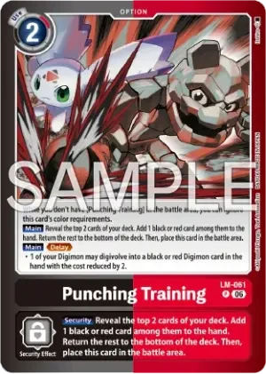 Punching Training