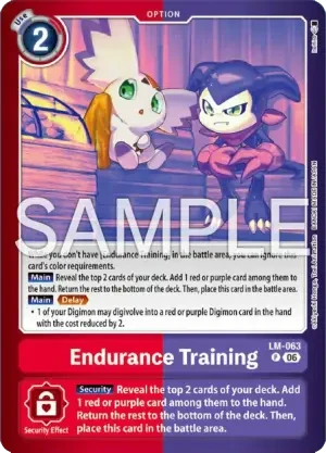 Endurance Training