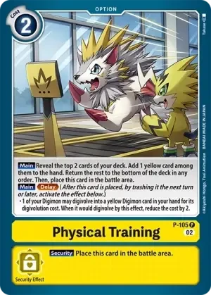 Physical Training