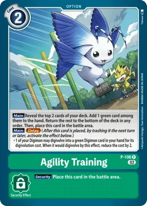 Agility Training