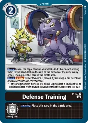 Defense Training