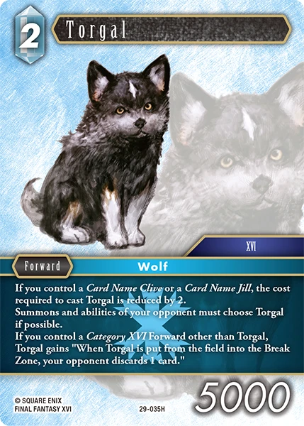 Torgal