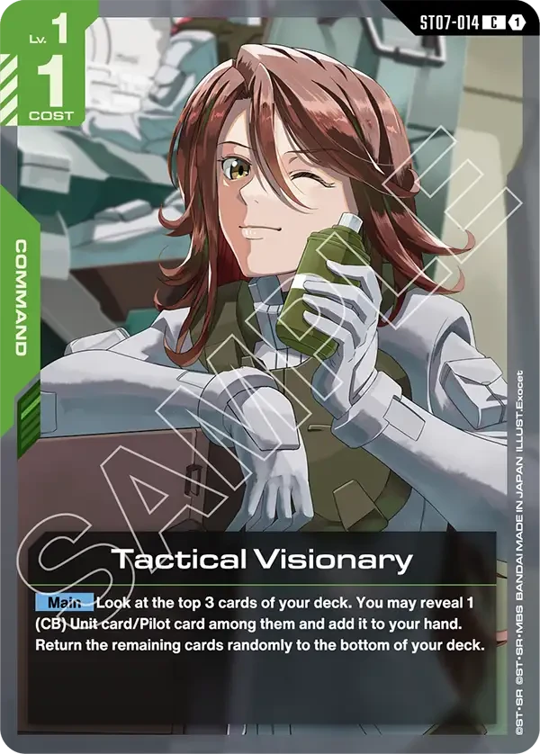 Tactical Visionary