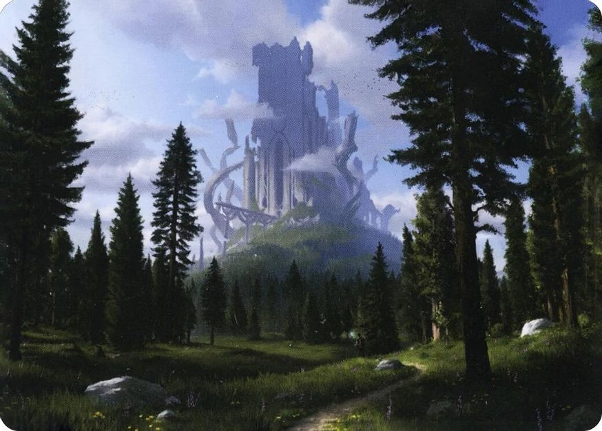 Forest // Forest