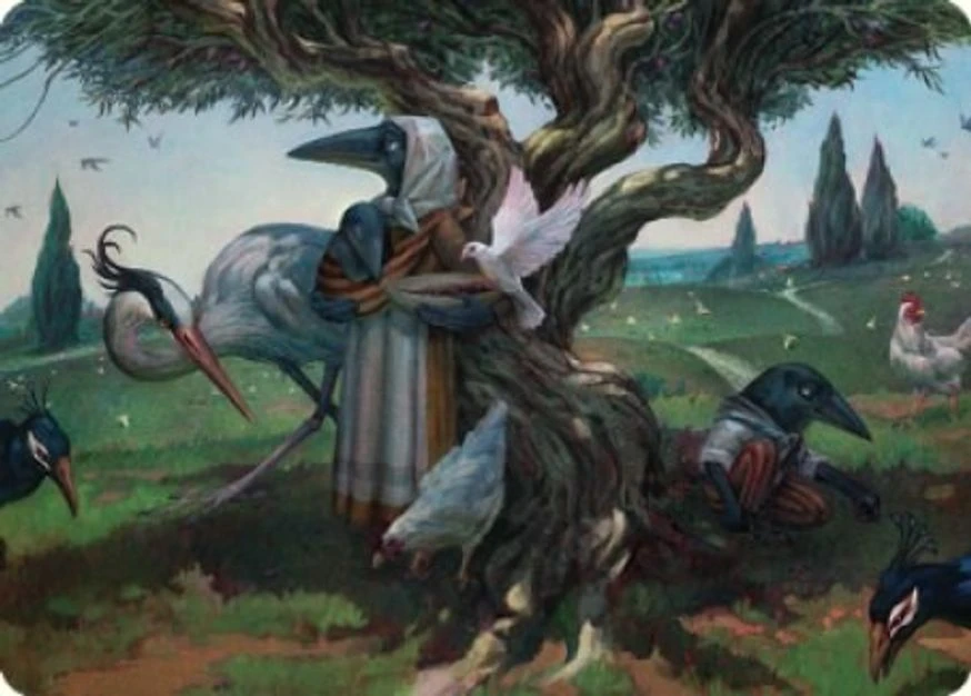Kindred Discovery // Kindred Discovery