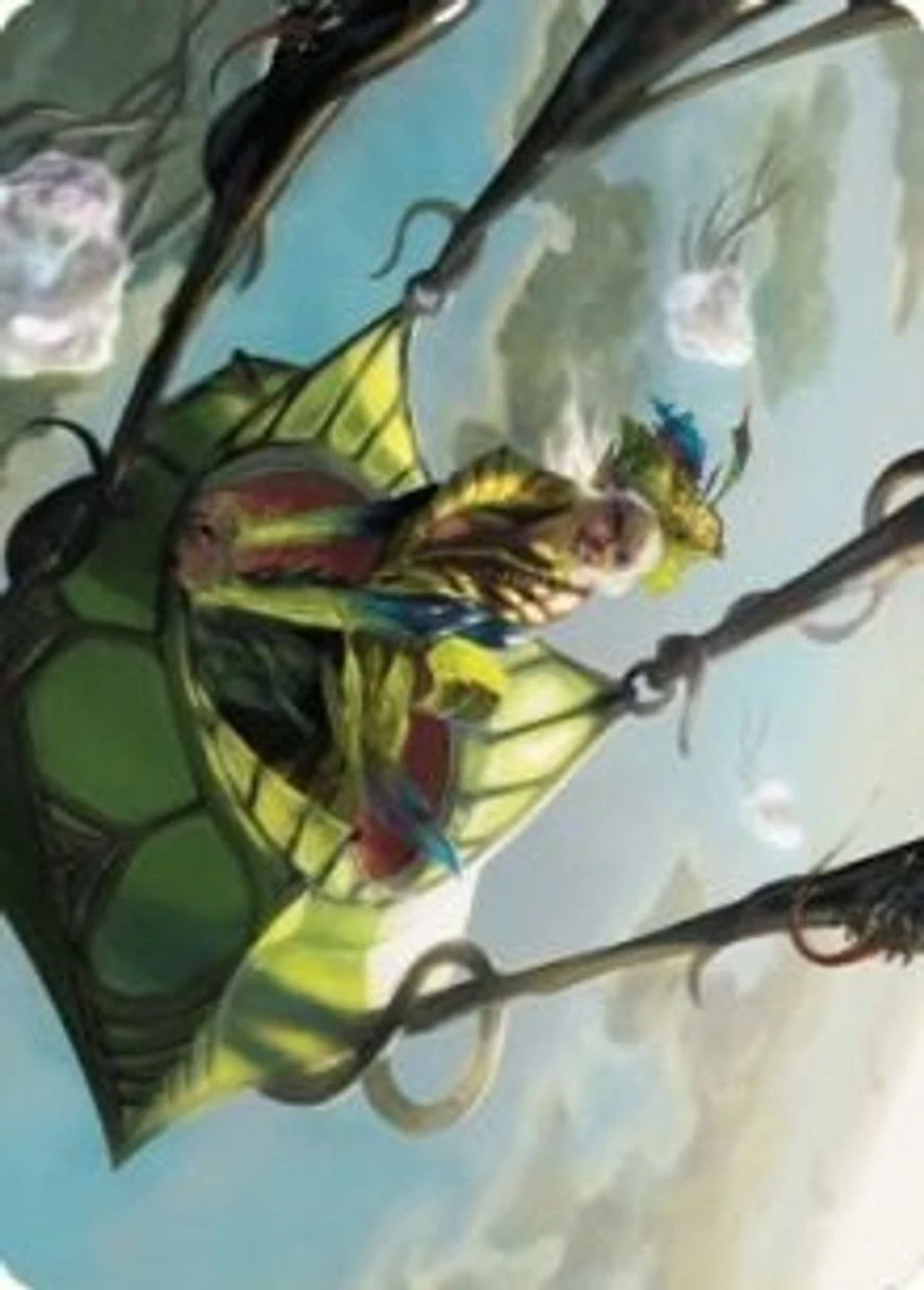 Nael, Avizoa Aeronaut // Nael, Avizoa Aeronaut