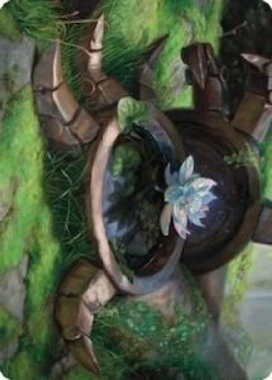 Timeless Lotus // Timeless Lotus