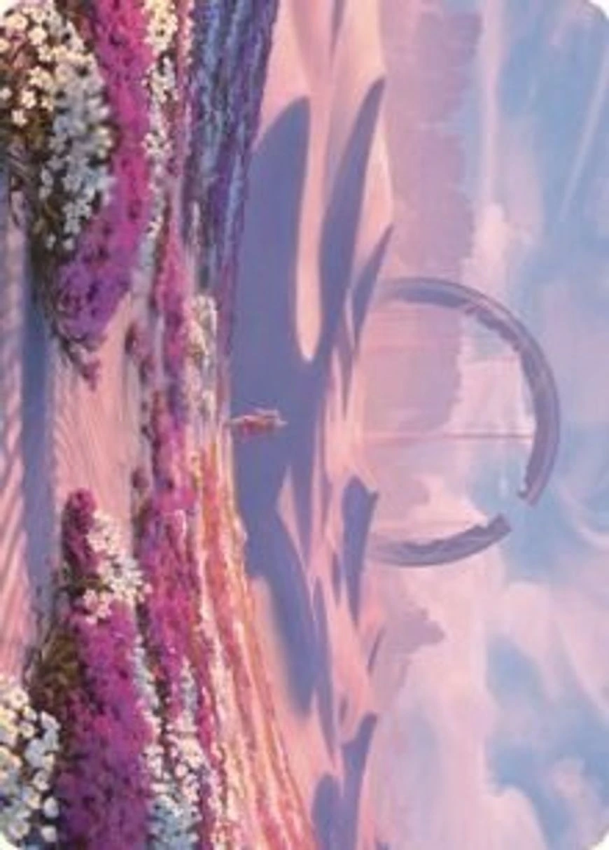 Plains // Plains
