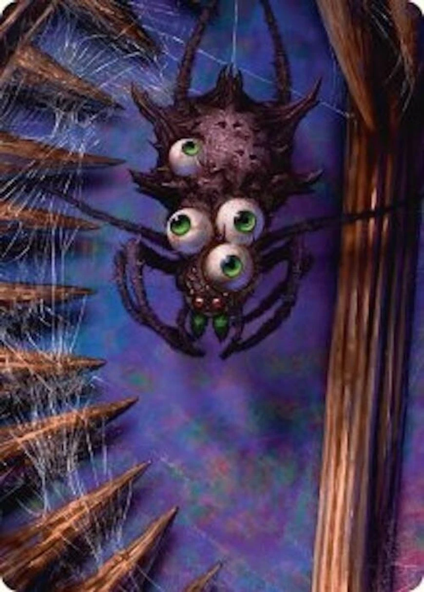 Spider // Spider