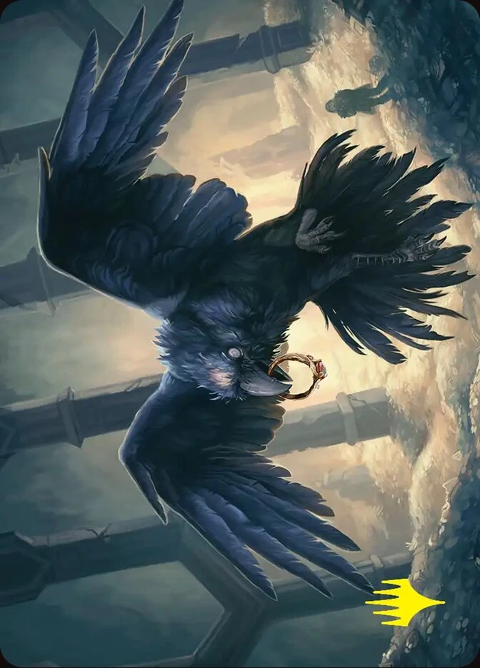 Most Decrepit Old Bird // Most Decrepit Old Bird