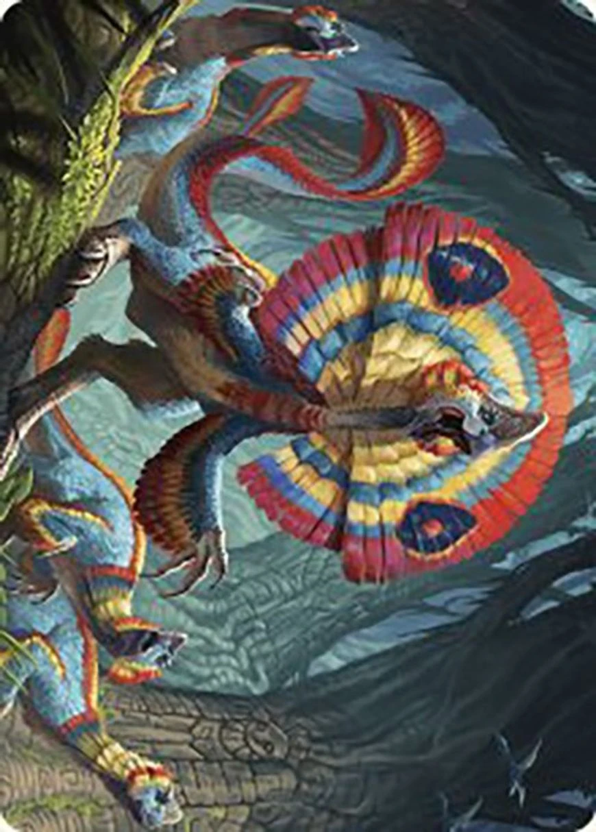 Sunfrill Imitator // Sunfrill Imitator