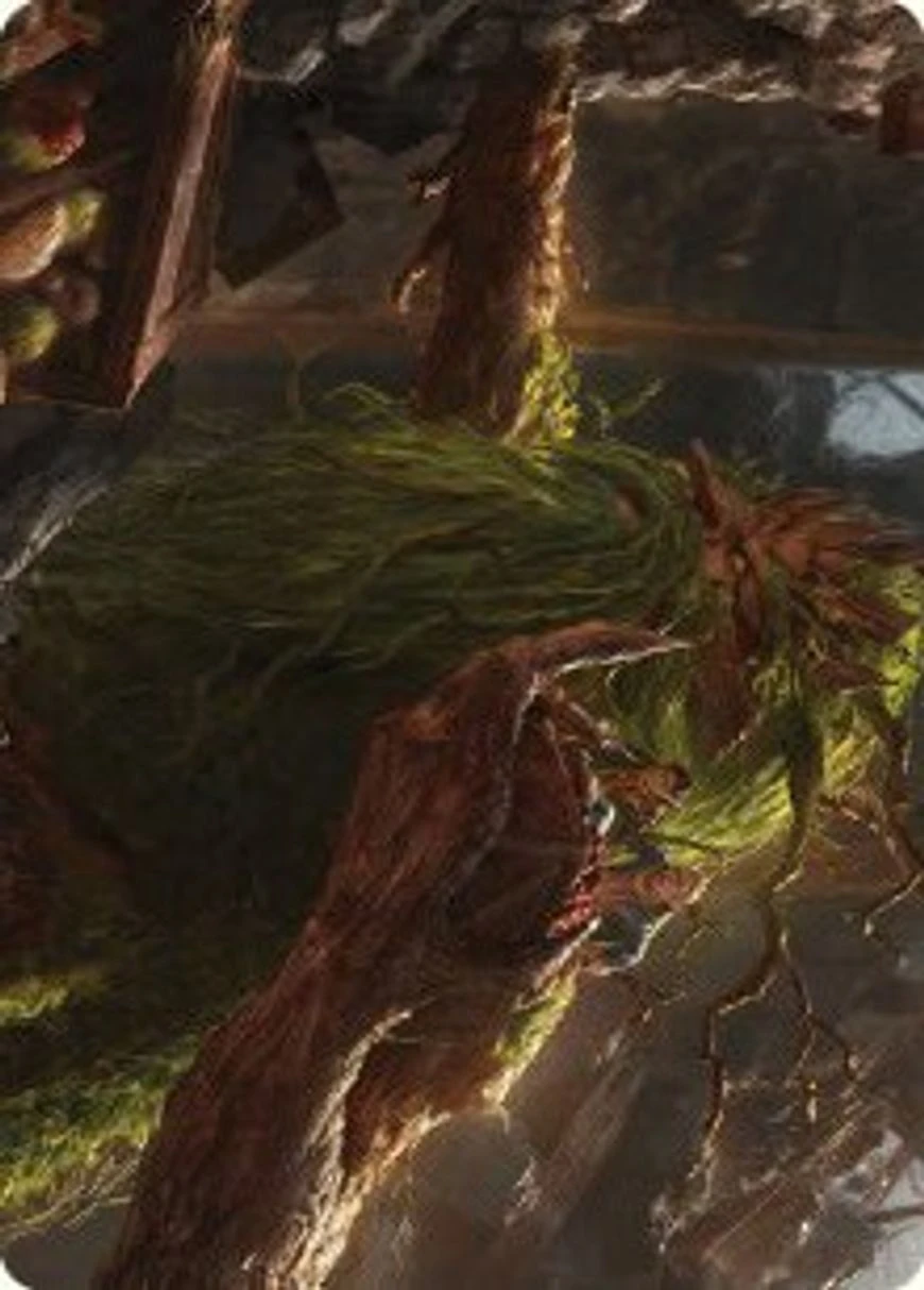 Treebeard, Gracious Host // Treebeard, Gracious Host