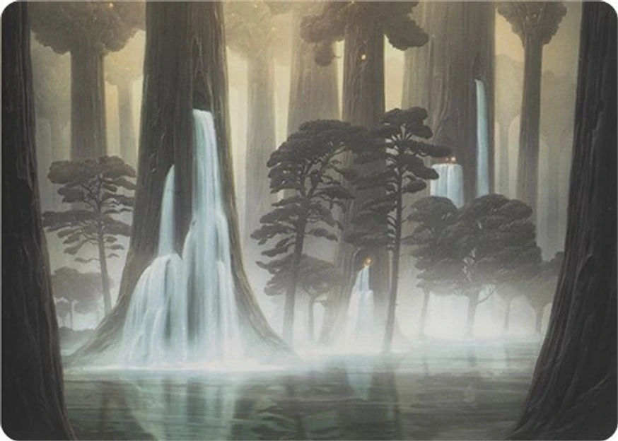 Waterlogged Grove // Waterlogged Grove