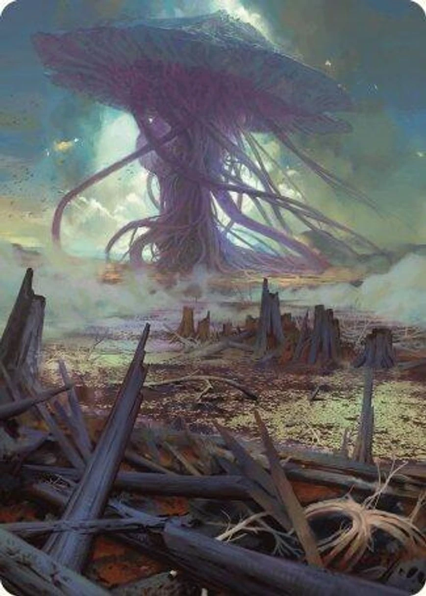 Swamp // Swamp