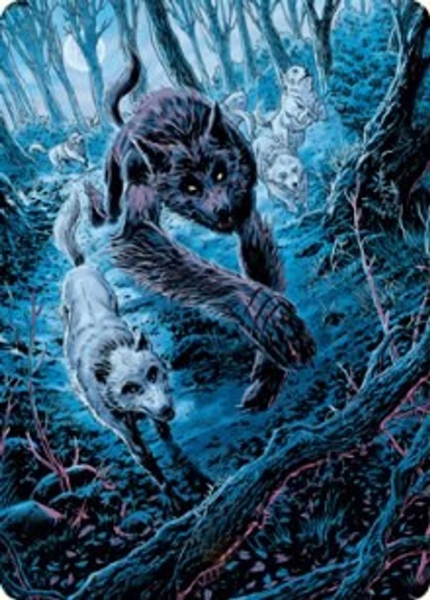 Untamed Pup // Untamed Pup