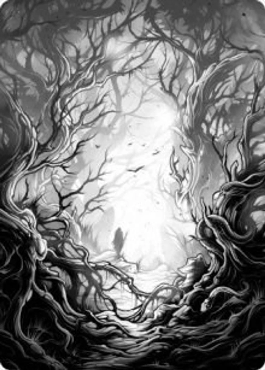 Forest // Forest