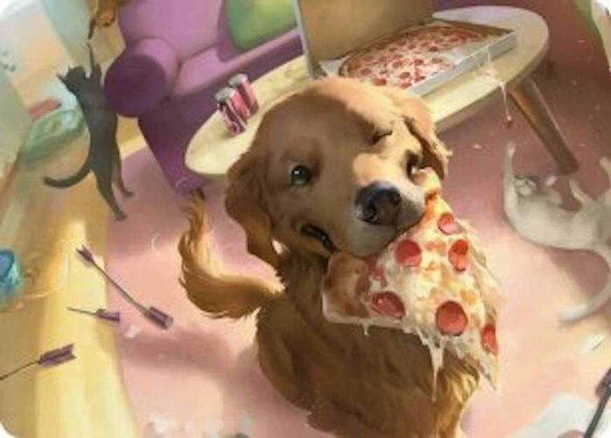 Lucky the Pizza Dog // Lucky the Pizza Dog