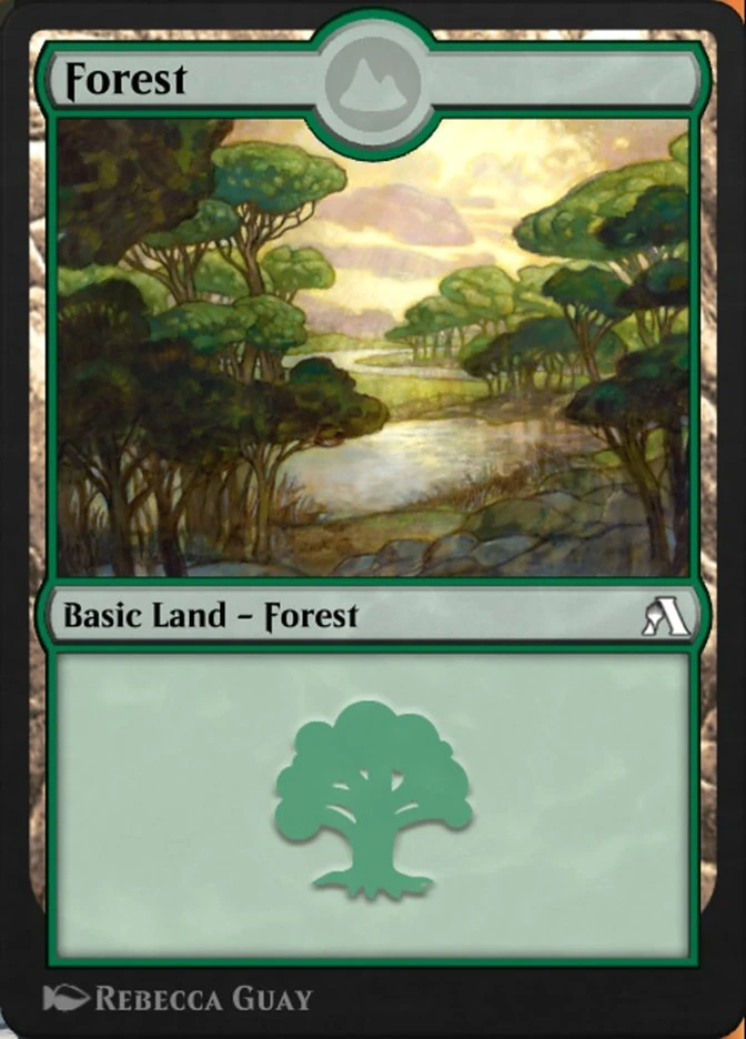 Forest