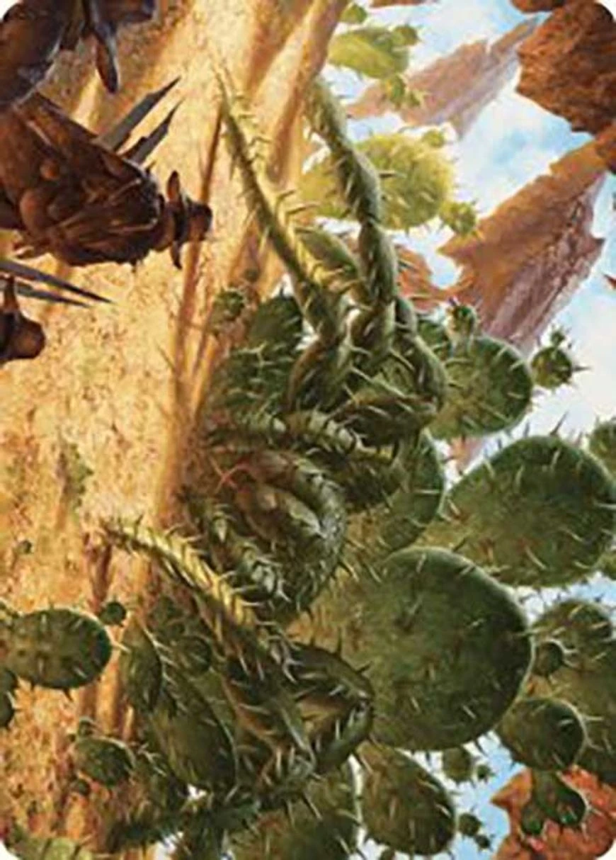 Cactarantula // Cactarantula