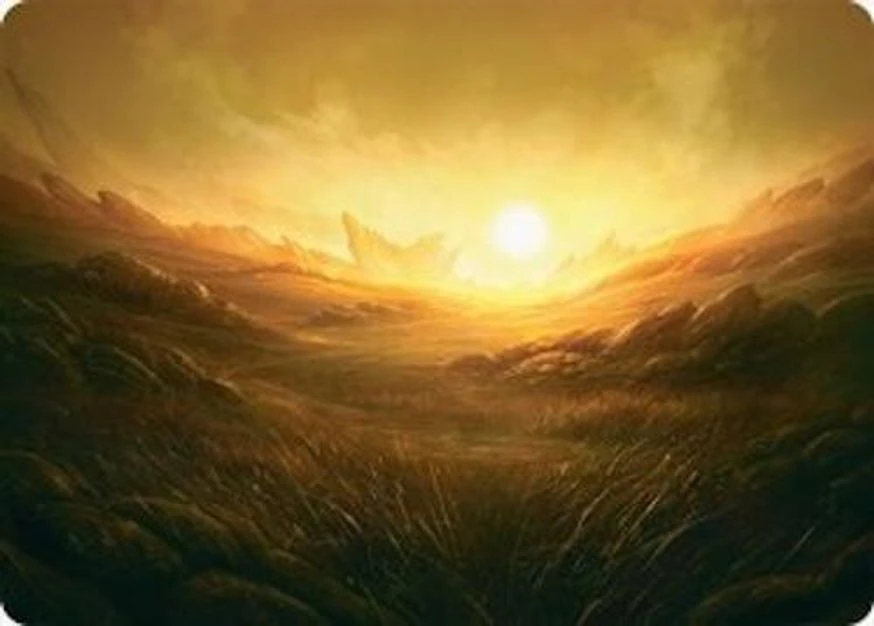 Plains // Plains