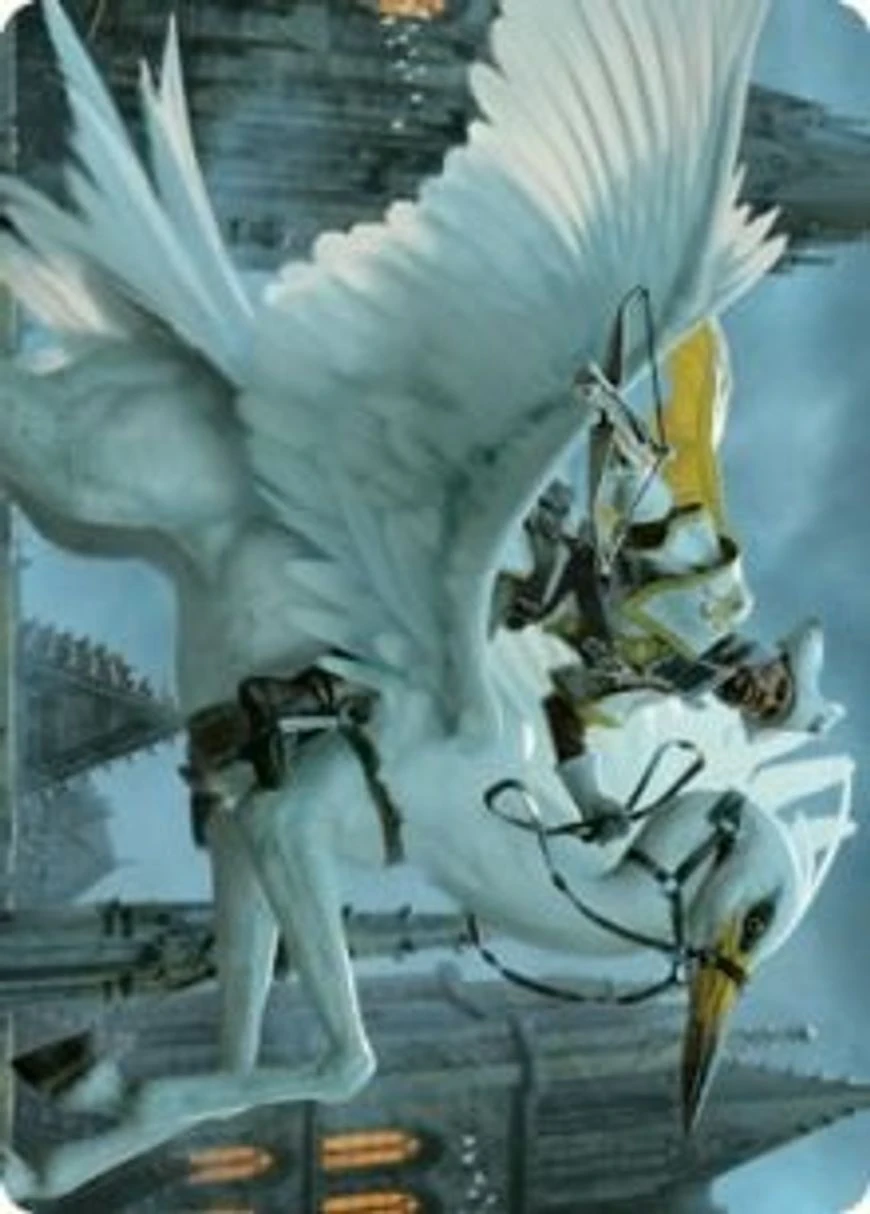Gryff Rider // Gryff Rider