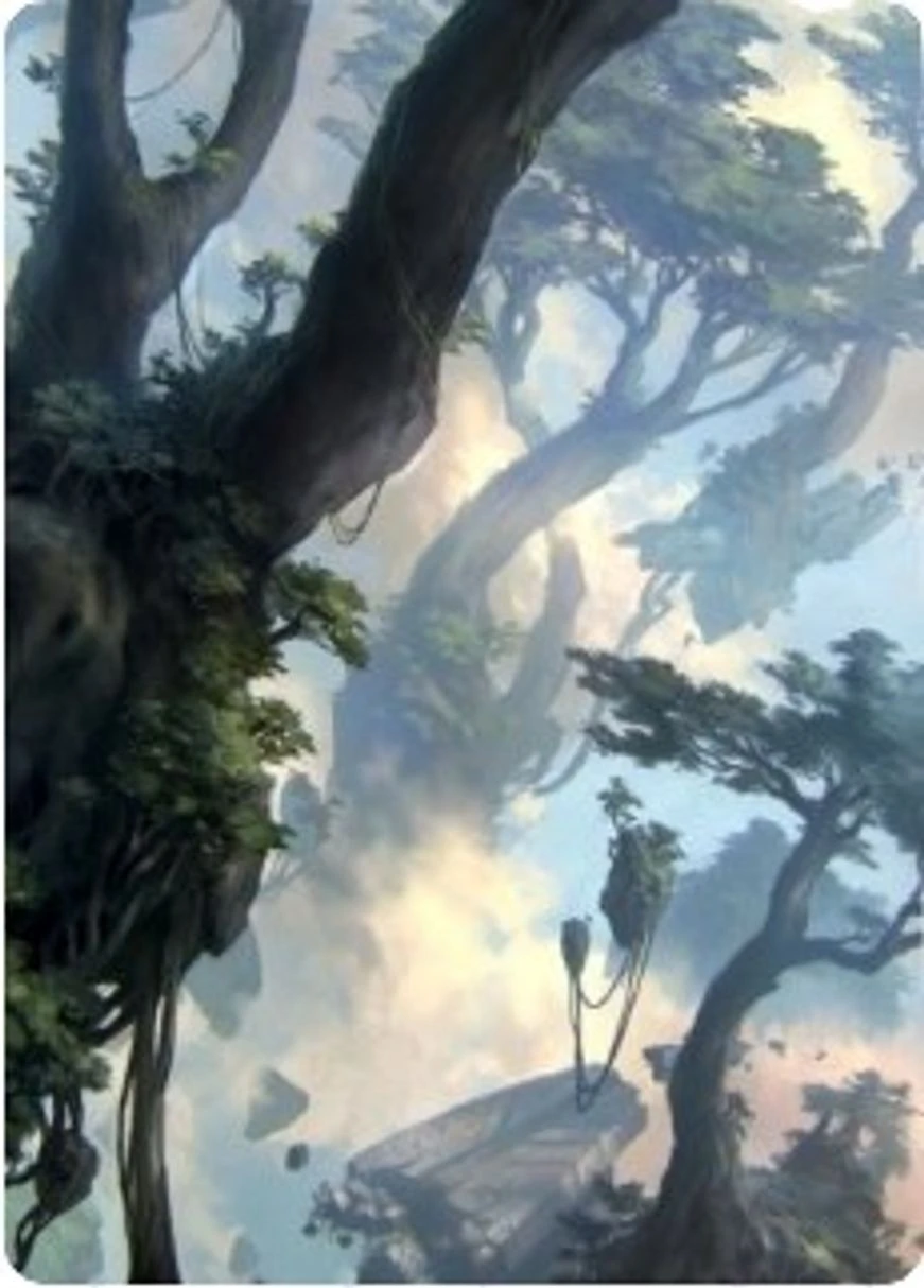 Forest // Forest