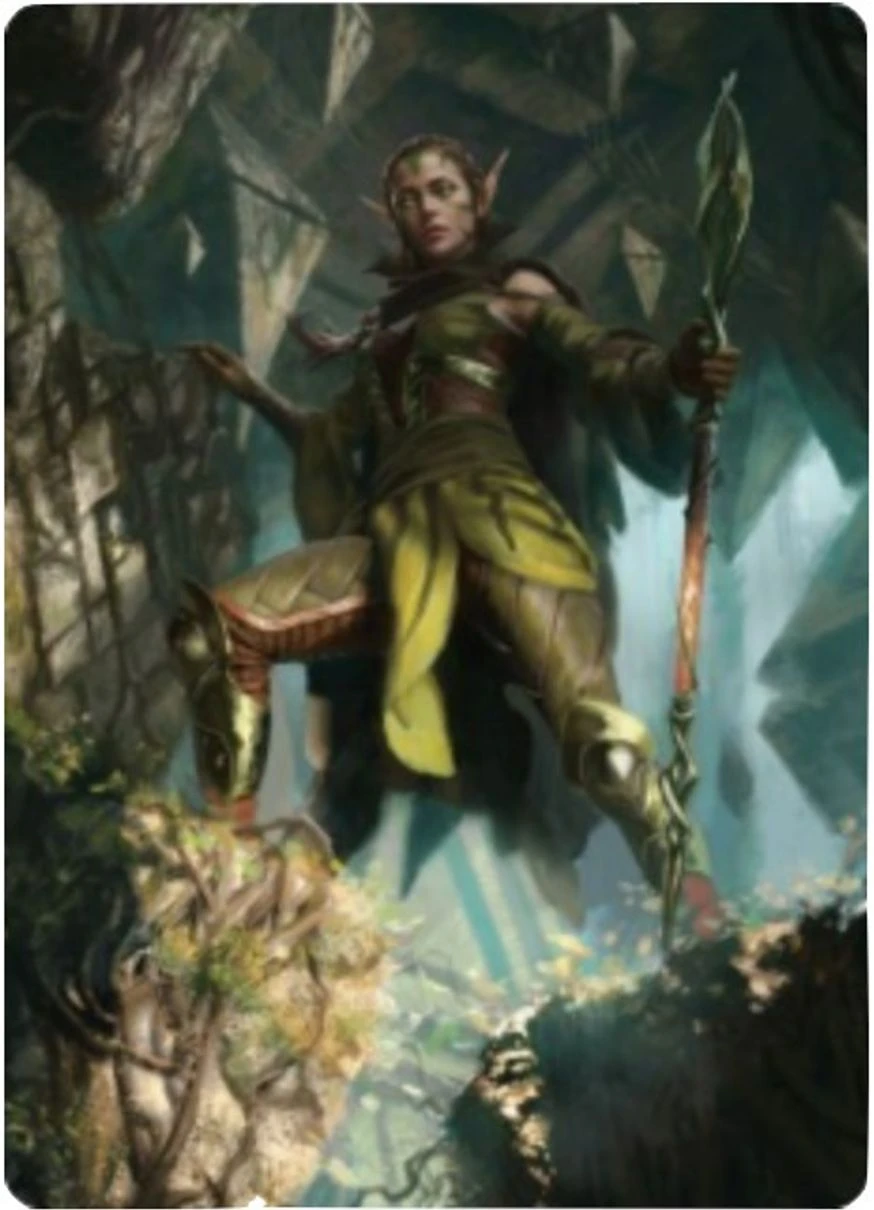 Nissa of Shadowed Boughs // Nissa of Shadowed Boughs