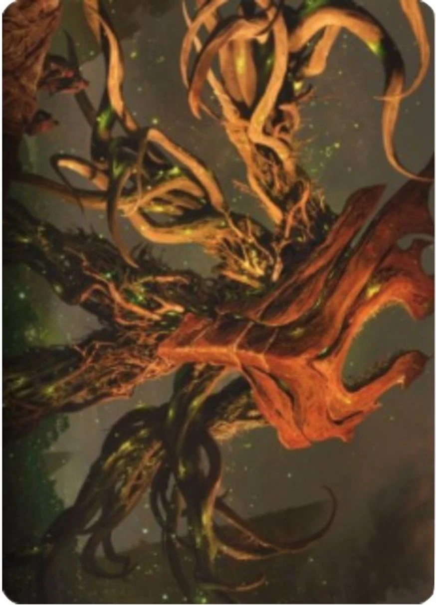 Ashaya, Soul of the Wild // Ashaya, Soul of the Wild