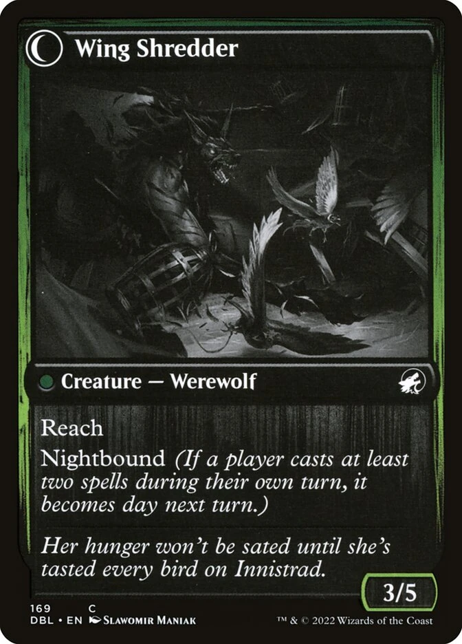 Bird Admirer // Wing Shredder — other side
