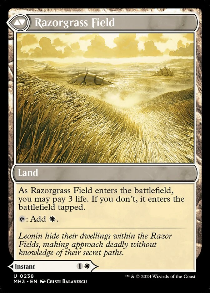 Razorgrass Ambush // Razorgrass Field — other side