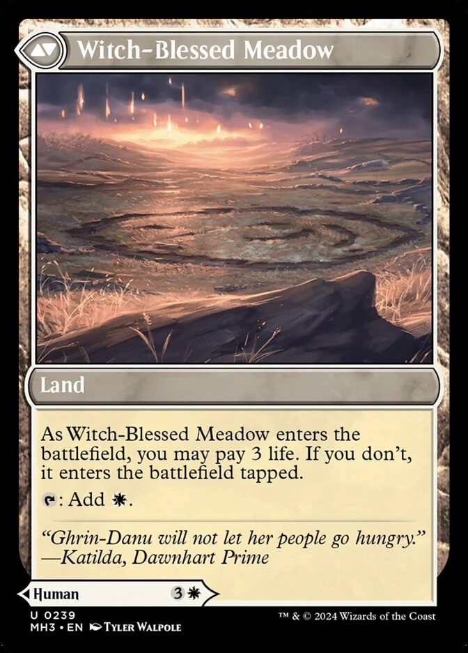 Witch Enchanter // Witch-Blessed Meadow — other side