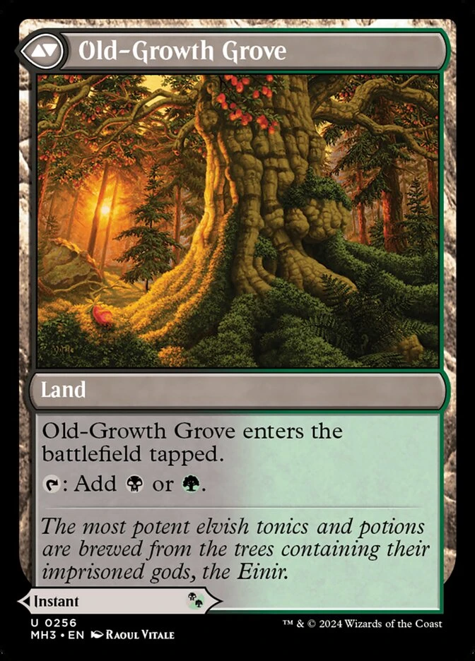 Revitalizing Repast // Old-Growth Grove — other side