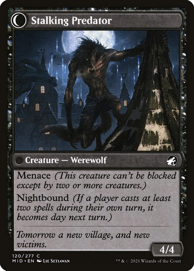 Shady Traveler // Stalking Predator — other side