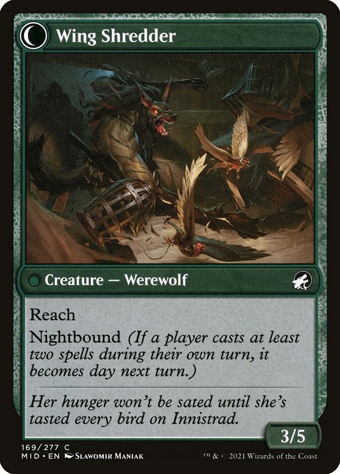 Bird Admirer // Wing Shredder — other side