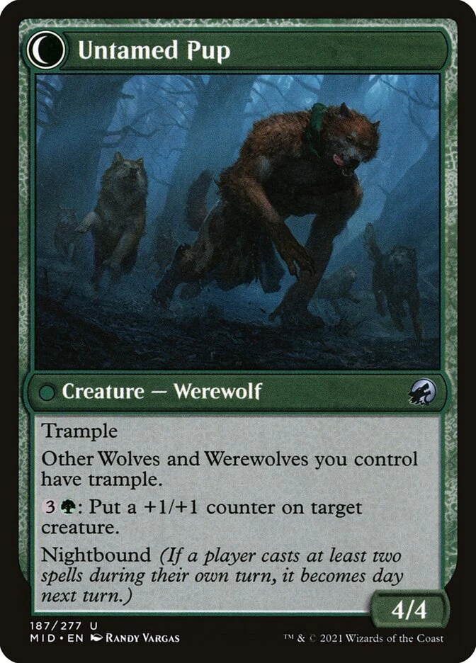 Hound Tamer // Untamed Pup — other side