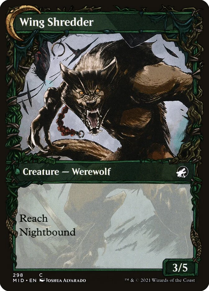 Bird Admirer // Wing Shredder — other side