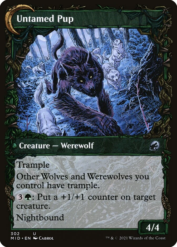 Hound Tamer // Untamed Pup — other side