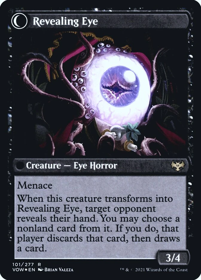 Concealing Curtains // Revealing Eye — other side