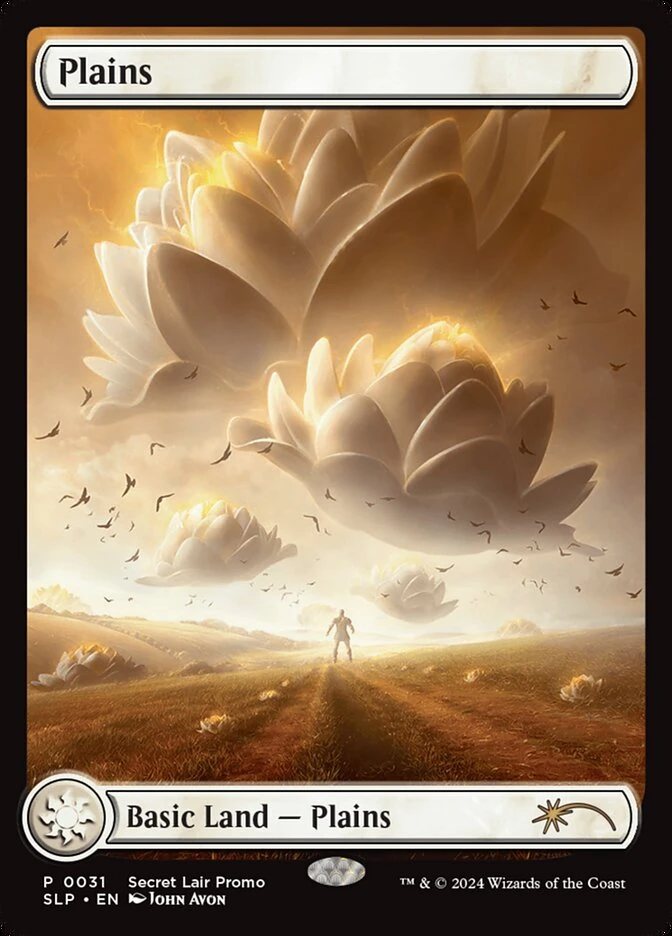 Plains
